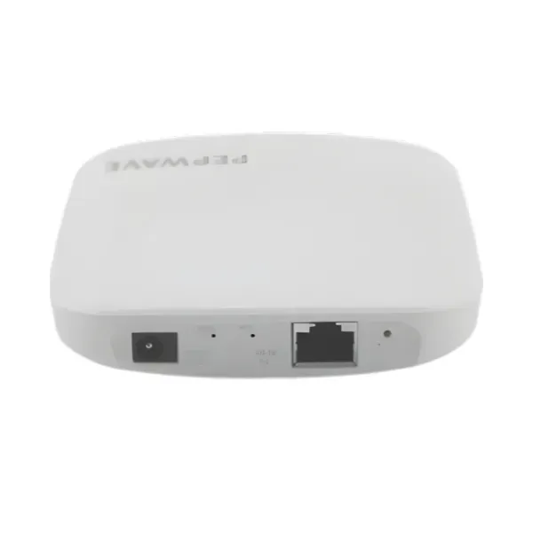Access point for rental