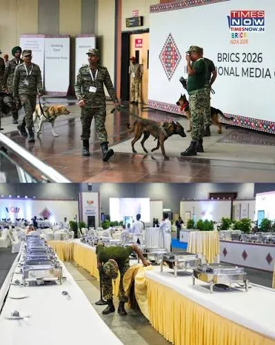 Security and event preparation for a BRICS summit